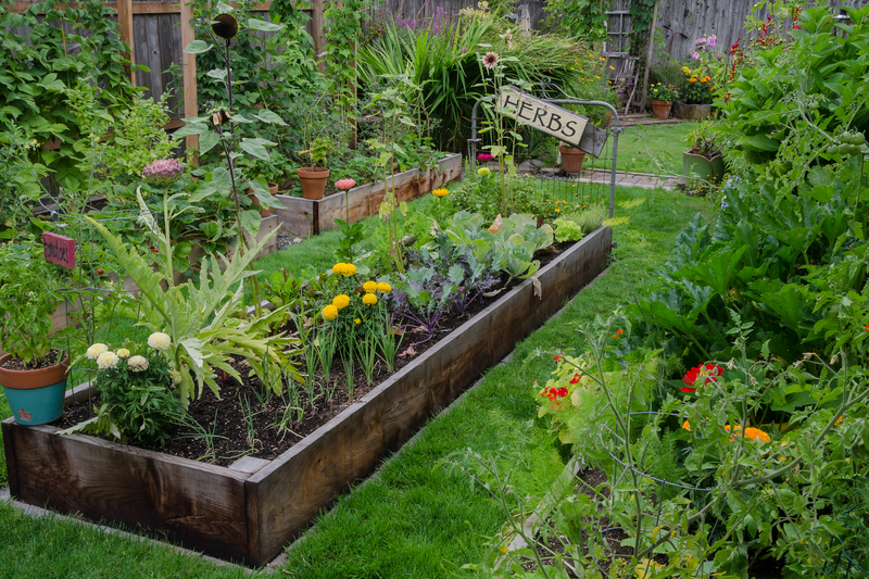 Garden lawn