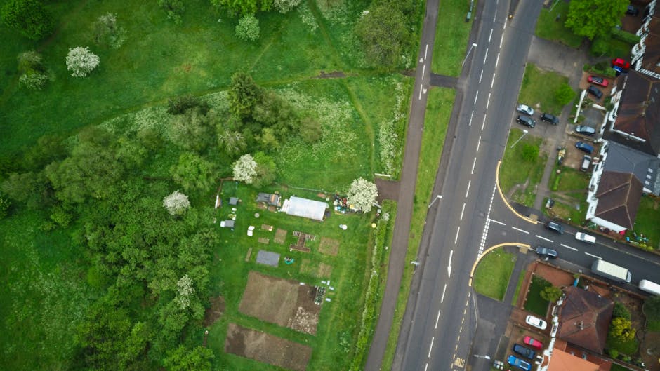 An aerial view of a front garden along Salusbury Road in Queens Park featuring a variety of lush green trees and shrubs, some with white blossoms. The garden has several neatly arranged vegetable patches or flower beds with dark soil, surrounded by well-maintained grass and a narrow pathway. To the right, there is a sidewalk adjacent to the road, which has multiple lanes with white dashed markings and a pedestrian crossing. Nearby, a row of residential houses with pitched roofs is visible, and a small parking area with several parked cars. The scene is captured in natural daylight, highlighting the vibrant greenery and healthy landscaping work, exemplifying garden maintenance and landscaping efforts by Gardeners Queen's Park.