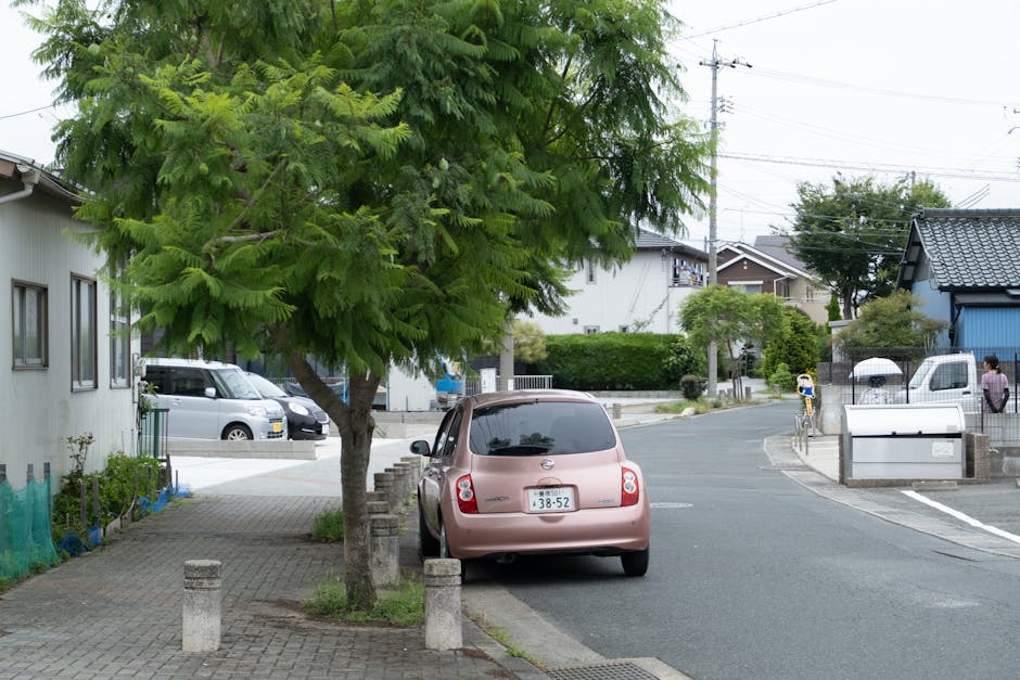A quiet suburban street scene in Queens Park featuring a pinkish-brown compact car parked next to a mature tree with lush green foliage on the sidewalk. The tree has multiple branches extending outward, with textured leaves providing partial shade over the car. The road is paved with smooth asphalt, gently curving into the distance, with other parked and moving vehicles visible along the street. Residential buildings with varied architectural styles, including a white house with small windows and a blue house with a tiled roof, line both sides of the street. In the background, there are utility poles with overhead wires and a person walking on the sidewalk holding an umbrella, indicating a potentially overcast day. The area appears well-maintained with neatly trimmed hedges, clean pavements, and a small garden bed bordered by concrete bollards near the tree, demonstrating typical neighborhood garden care and landscaping work, as handled by Gardeners Queen's Park.