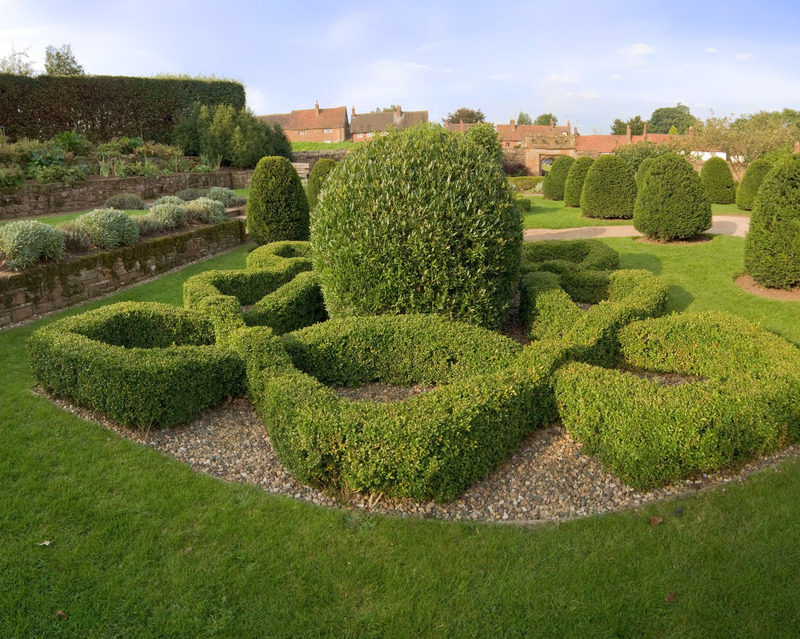 garden hedges